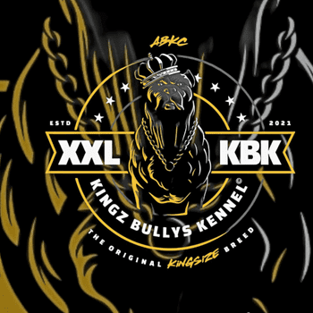 Kingzbullys