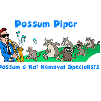 Possum Piper