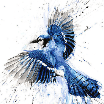 Jay Wake